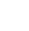 Apple icon